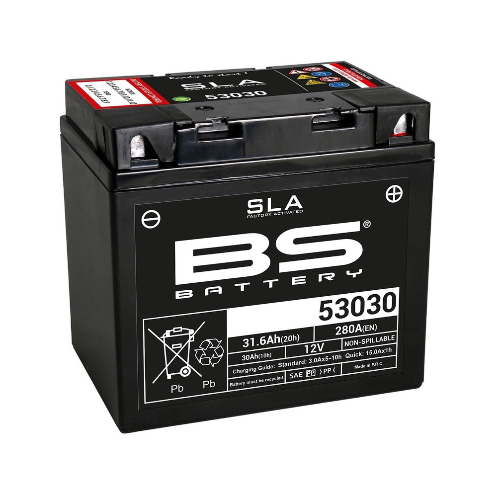 BS BATTERY SLA maintenance-free battery, factory activated - 53030