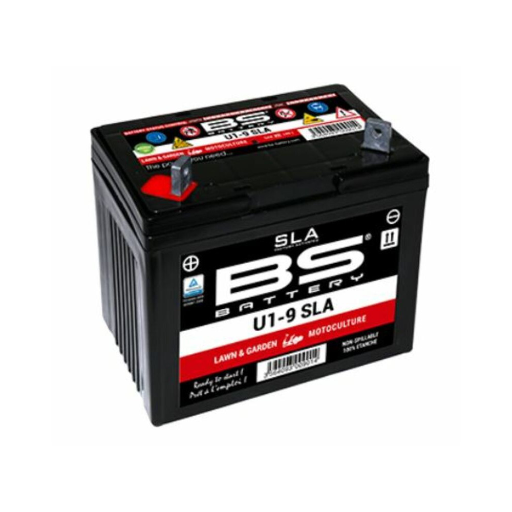 BS BATTERY SLA maintenance-free battery, factory activated - U1-9