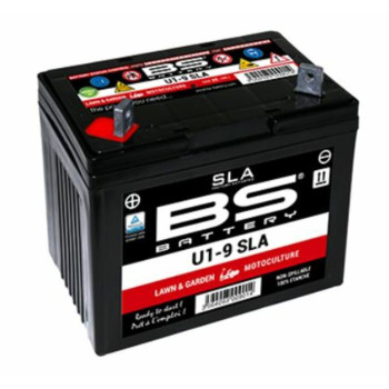 BS BATTERY SLA maintenance-free battery, factory activated - U1-9