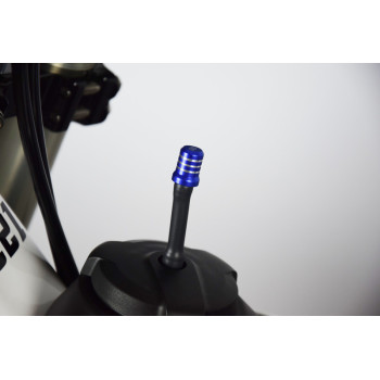 SCAR blue tank valve