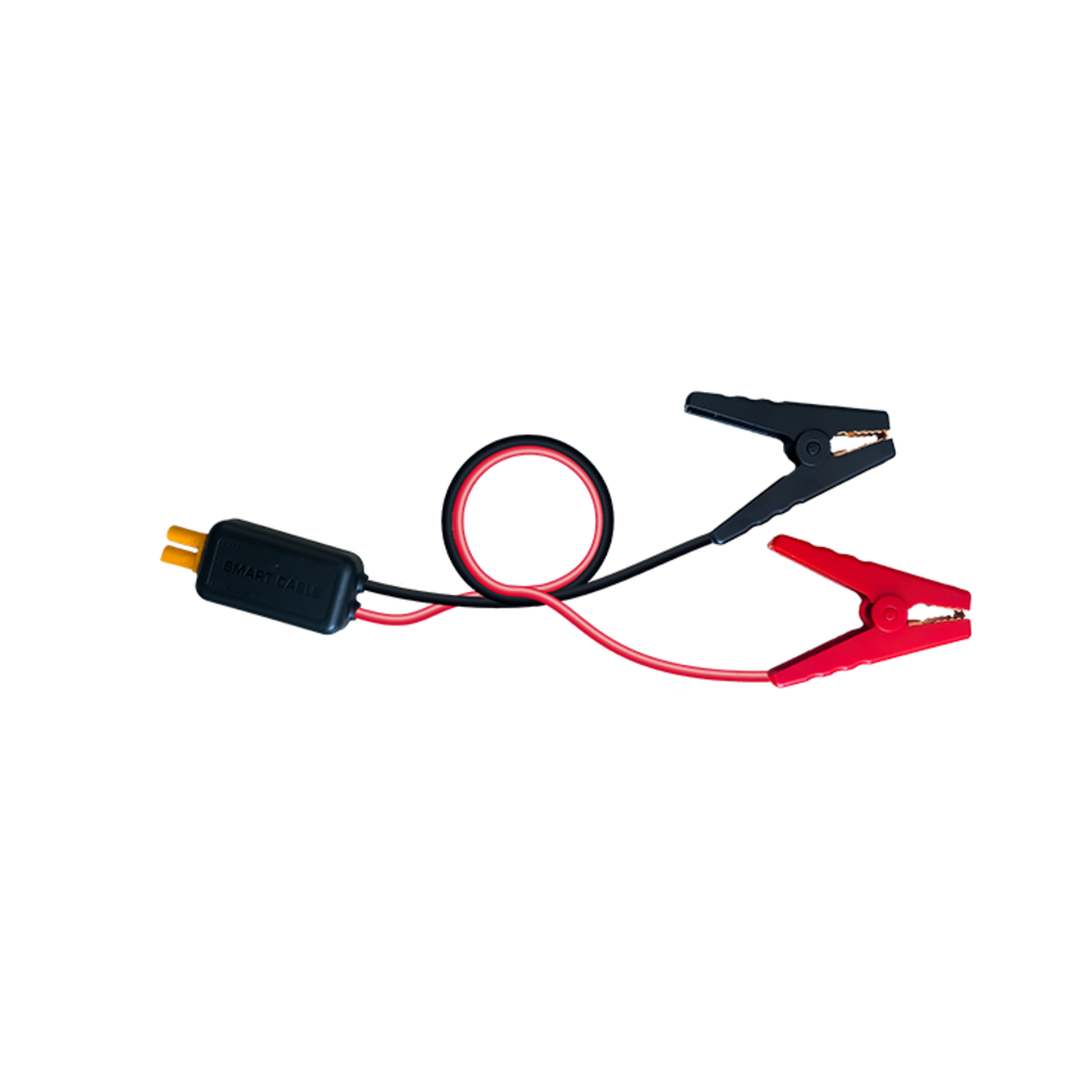 Extension de câble intelligent BS BATTERY pour booster Power Box PB-02