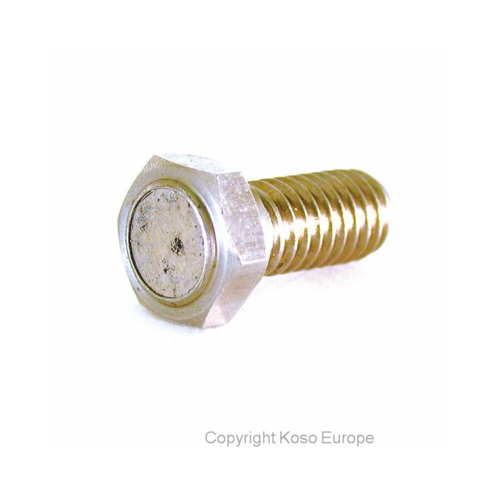 KOSO Magnet screw for brake disk (M8 x P1.25 x 29L)