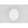 UFO Oval white front license plate