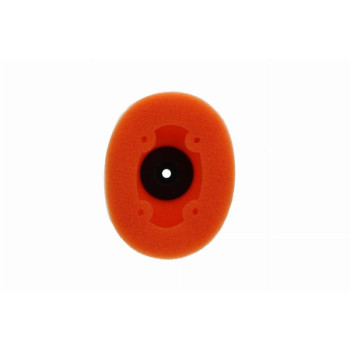 Filtre à air TWIN AIR - 154160