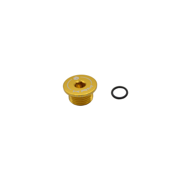 Derbi I SUPERMOT PARTS oil pan plug
