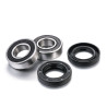 Kit roulements de roue FACTORY LINKS