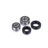 Kit roulements de roue FACTORY LINKS