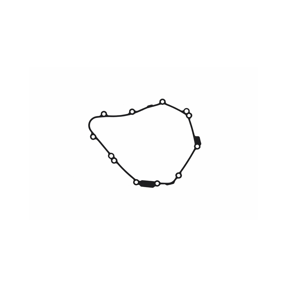 Joint de carter d'alternateur CENTAURO