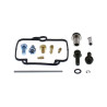 Kit réparation de carburateur ALL BALLS