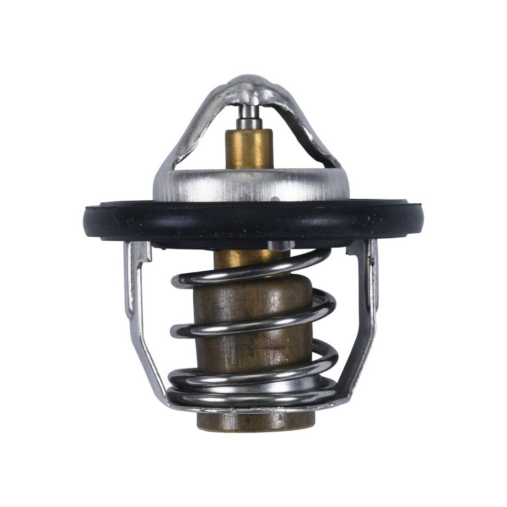 Thermostat ALL BALLS