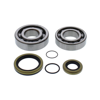 ALL BALLS crankshaft bearing and oil seal kit