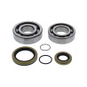 ALL BALLS crankshaft bearing and oil seal kit