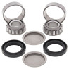 ALL BALLS swing arm bearing kit