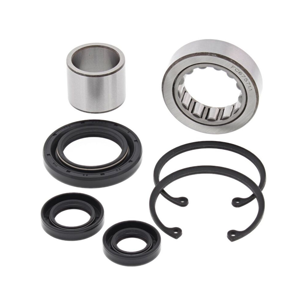 Kit de roulement et joint de transmission primaire interne ALL BALLS OEM