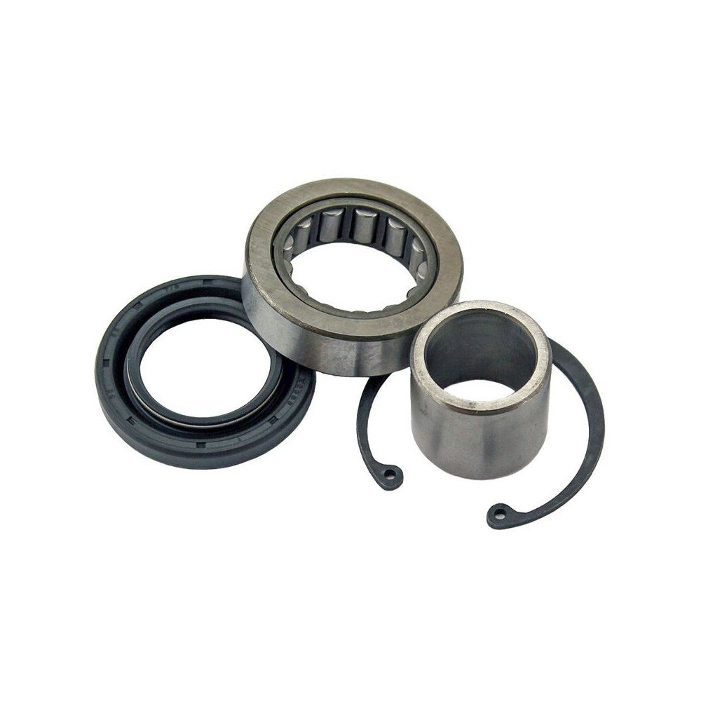 Kit de roulement et joint de transmission primaire interne ALL BALLS OEM