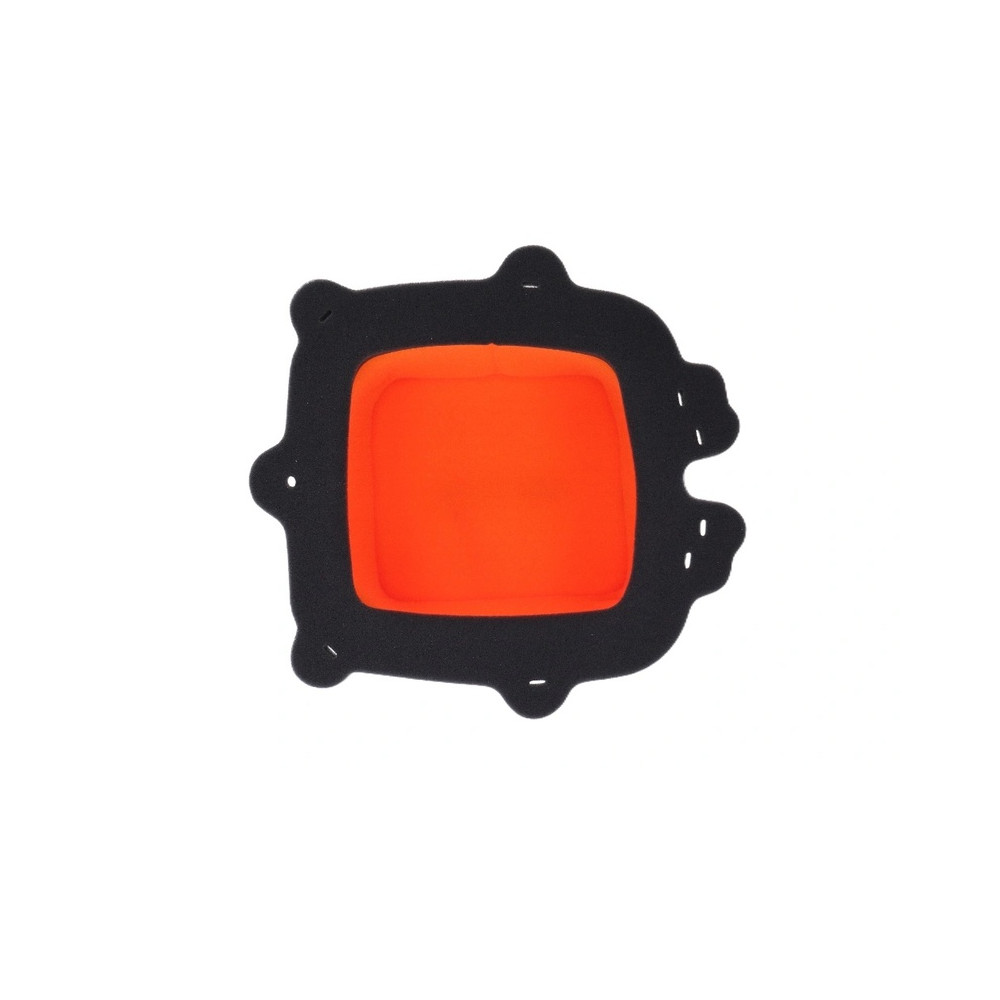 Filtre à air TWIN AIR - 158338