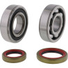 HOT RODS crankshaft bearing and oil seal kit