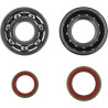 HOT RODS crankshaft bearing and oil seal kit