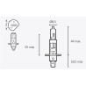 Ampoule TECNIUM H1 12V 55W