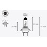 Ampoule TECNIUM H7 12V 55W