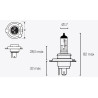 Ampoule TECNIUM H4 12V 60/55W