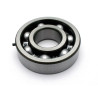 PROX crankshaft bearing 25x62x17mm