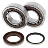 ALL BALLS crankshaft bearing and oil seal kit