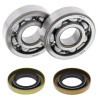 ALL BALLS crankshaft bearing and oil seal kit