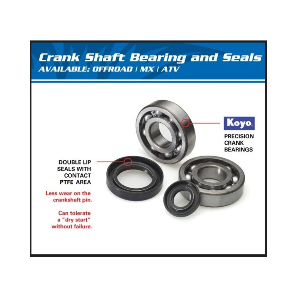 ALL BALLS crankshaft bearing and oil seal kit