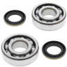 ALL BALLS crankshaft bearing and oil seal kit