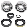 ALL BALLS crankshaft bearing and oil seal kit