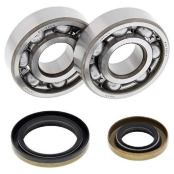 ALL BALLS crankshaft bearing and oil seal kit