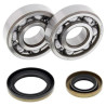 ALL BALLS crankshaft bearing and oil seal kit