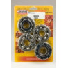 HOT RODS crankshaft bearing and oil seal kit