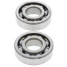 ALL BALLS crankshaft bearing and oil seal kit