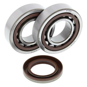 ALL BALLS crankshaft bearing and oil seal kit