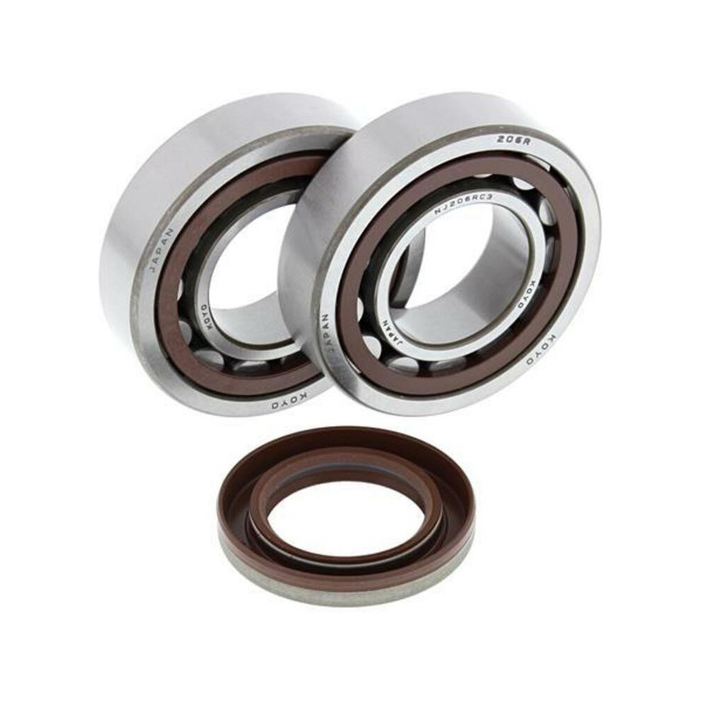 ALL BALLS crankshaft bearing and oil seal kit