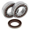 ALL BALLS crankshaft bearing and oil seal kit