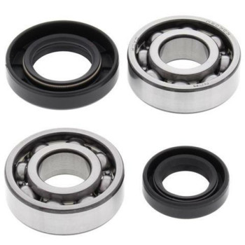 ALL BALLS crankshaft bearing and oil seal kit