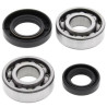 ALL BALLS crankshaft bearing and oil seal kit