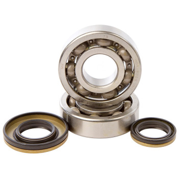 HOT RODS crankshaft bearing and oil seal kit