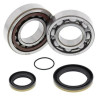 ALL BALLS crankshaft bearing and oil seal kit