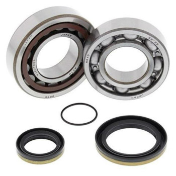 ALL BALLS crankshaft bearing and oil seal kit