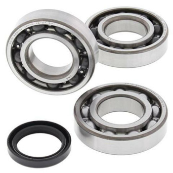 ALL BALLS crankshaft bearing and oil seal kit