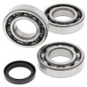 ALL BALLS crankshaft bearing and oil seal kit