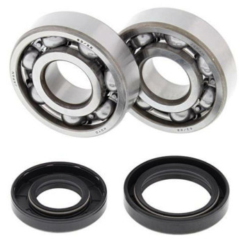 ALL BALLS crankshaft bearing and oil seal kit