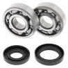 ALL BALLS crankshaft bearing and oil seal kit