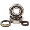 HOT RODS crankshaft bearing and oil seal kit