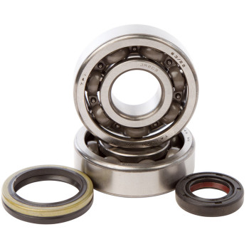 HOT RODS crankshaft bearing and oil seal kit