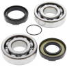 ALL BALLS crankshaft bearing and oil seal kit